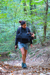 Thumbnail for Hiking special bag for dachshund
