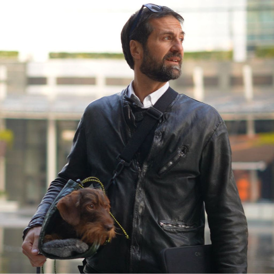 Dachshund Carrier <br> City Mesh