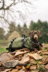 Thumbnail for Dachshund backpack carrier