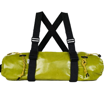 dachshund backpack green leather