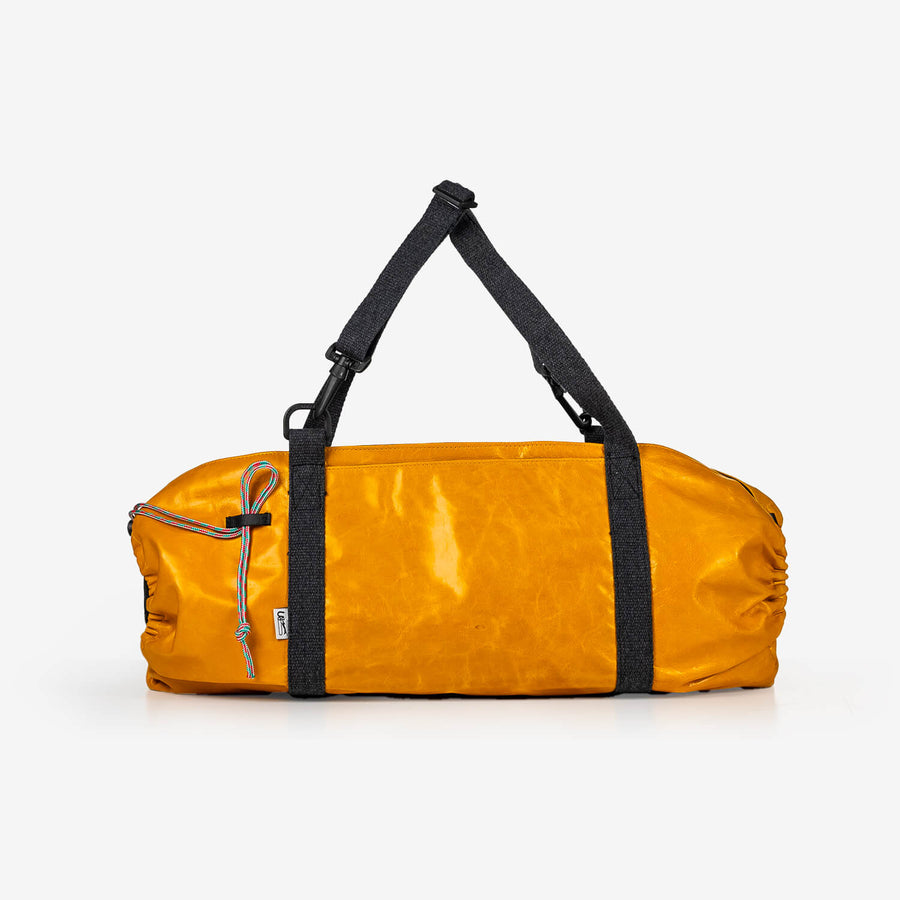 dachshund crossbody bag with rigid base