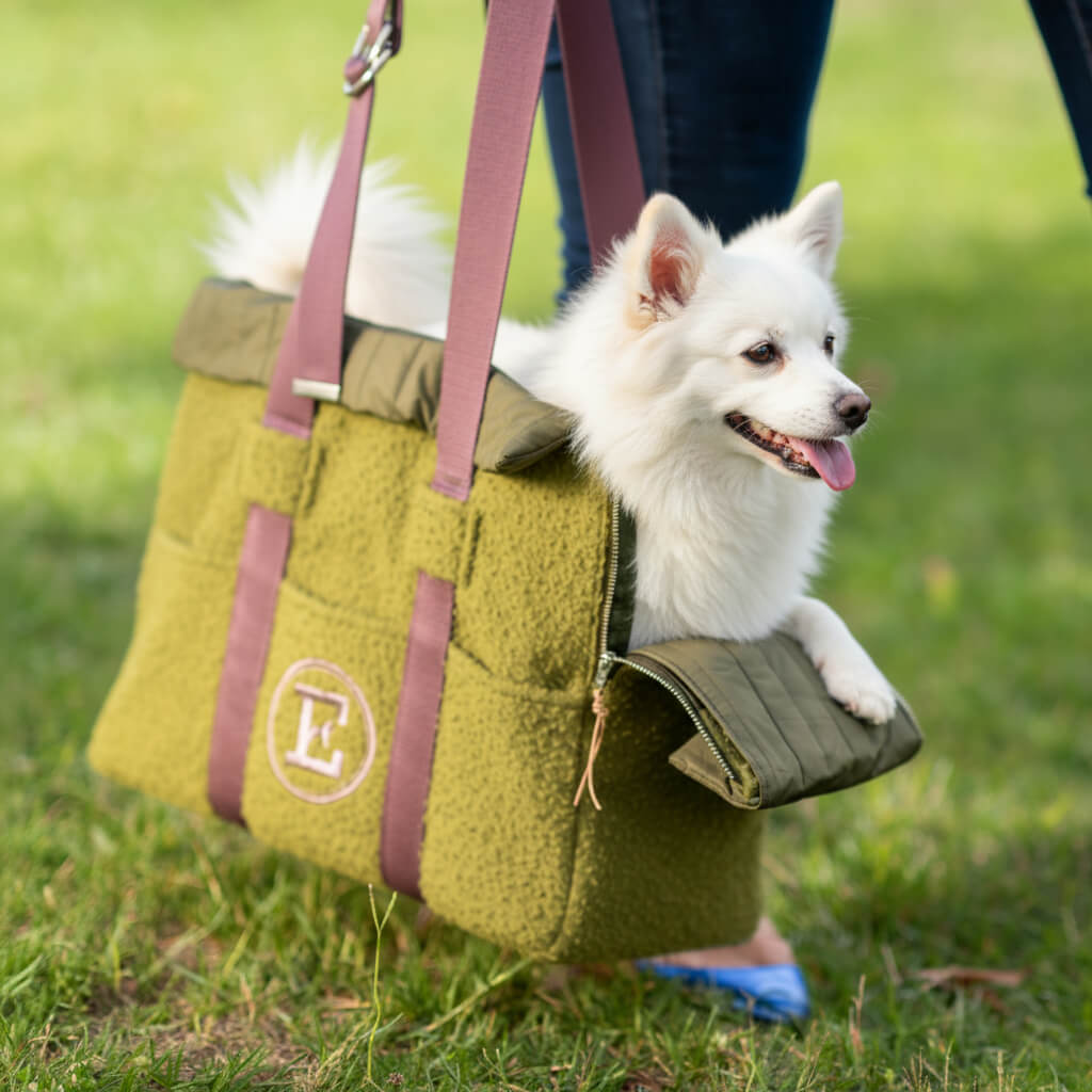 Dog in Carrier Bag Luxury 