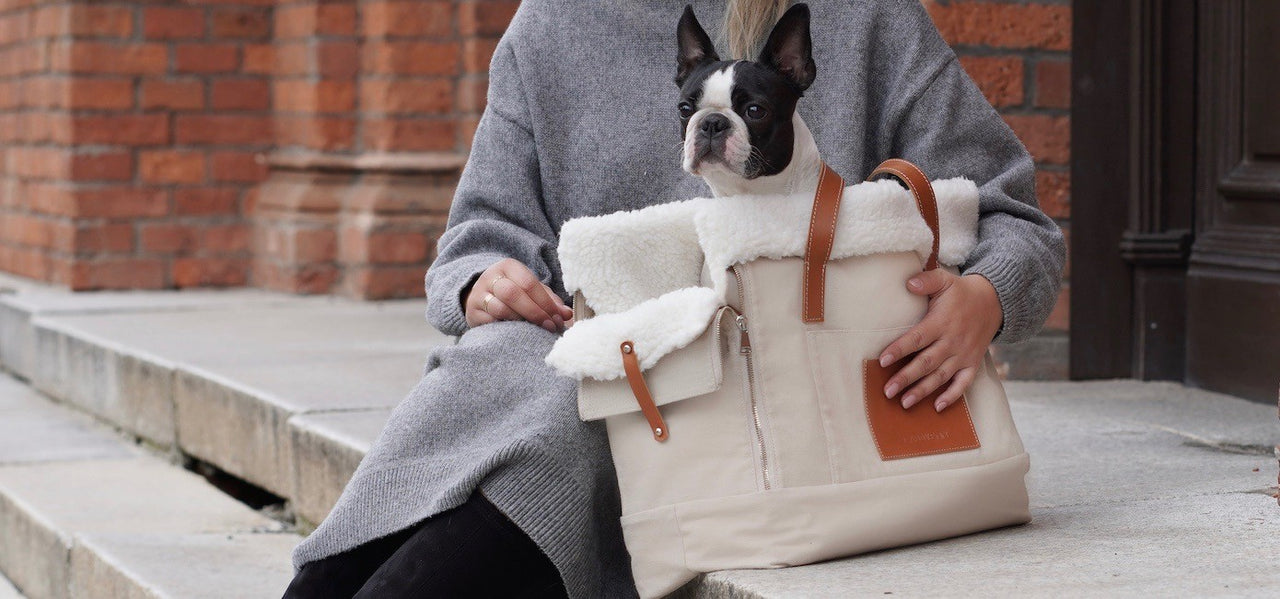 Handbag-bulldog-pet