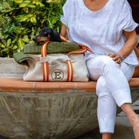 Thumbnail for handbag dachshund dog