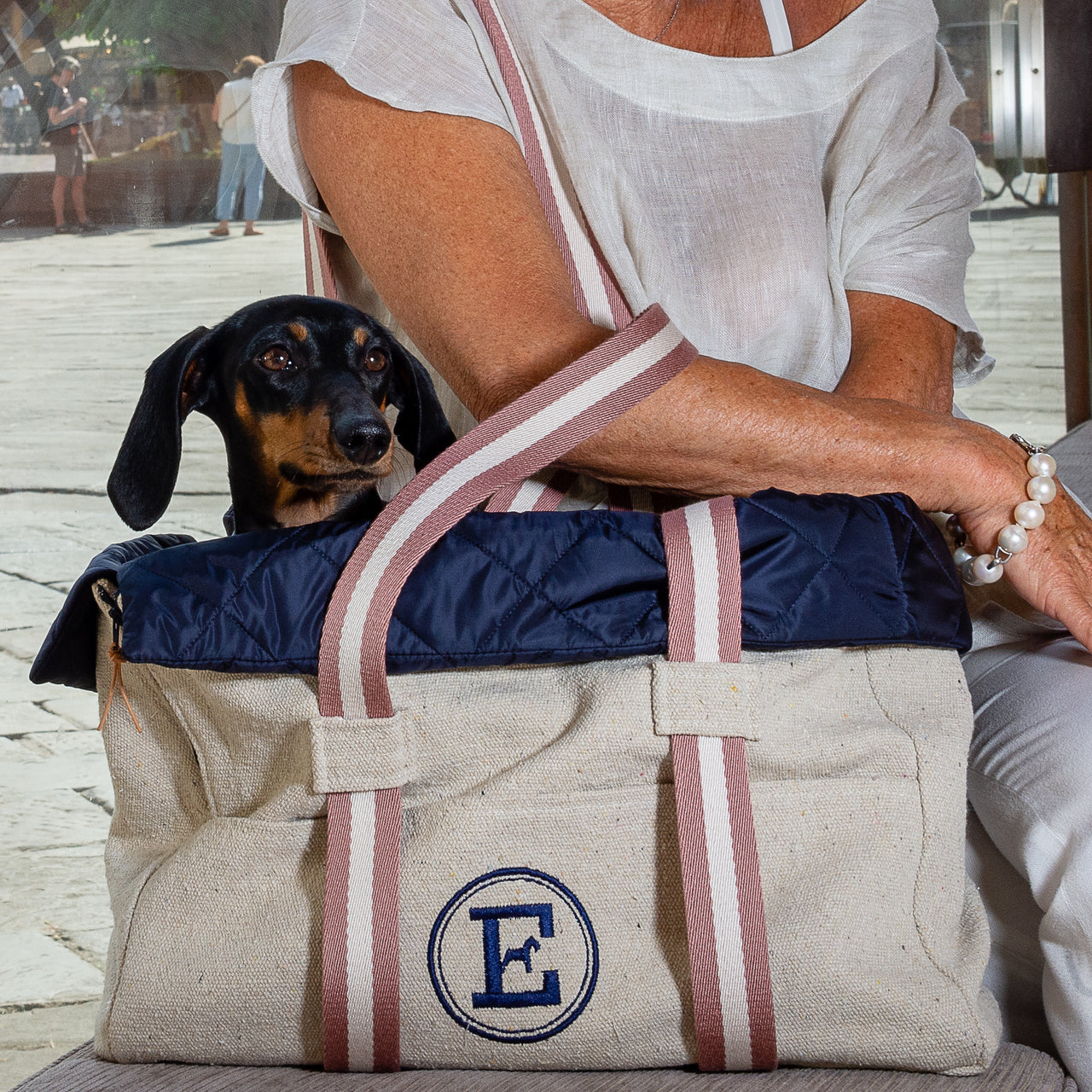 Pet Carrier Purse <br> Canvas Navy
