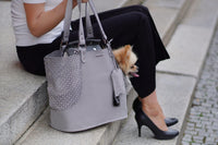 Thumbnail for Handbag small dog