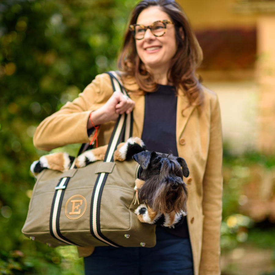 Pet Carrier Purse <br> Green & Fur