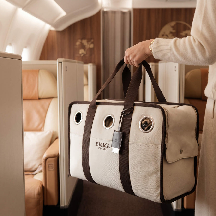 luxury pet carrier airline approved for small dogs