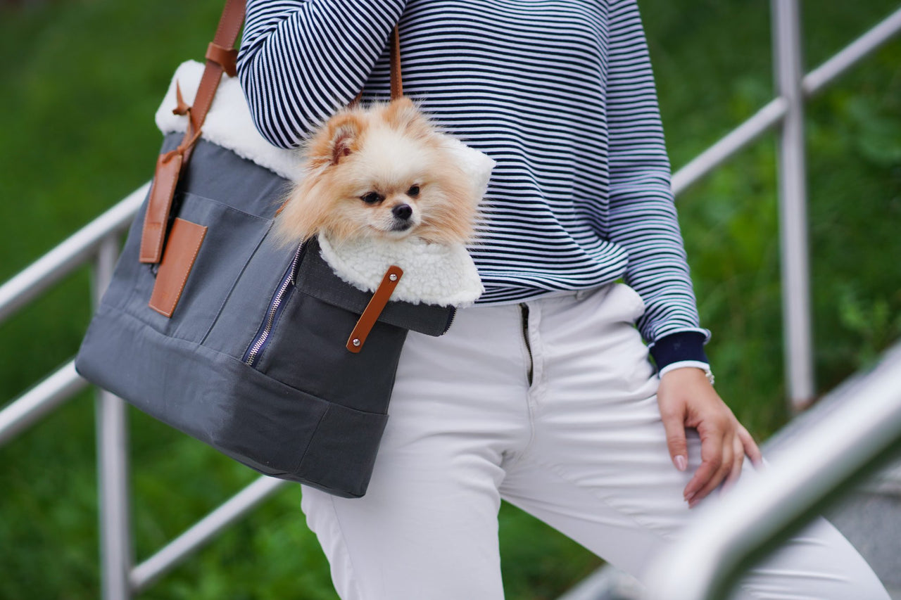 Puppy Pet Carrier 