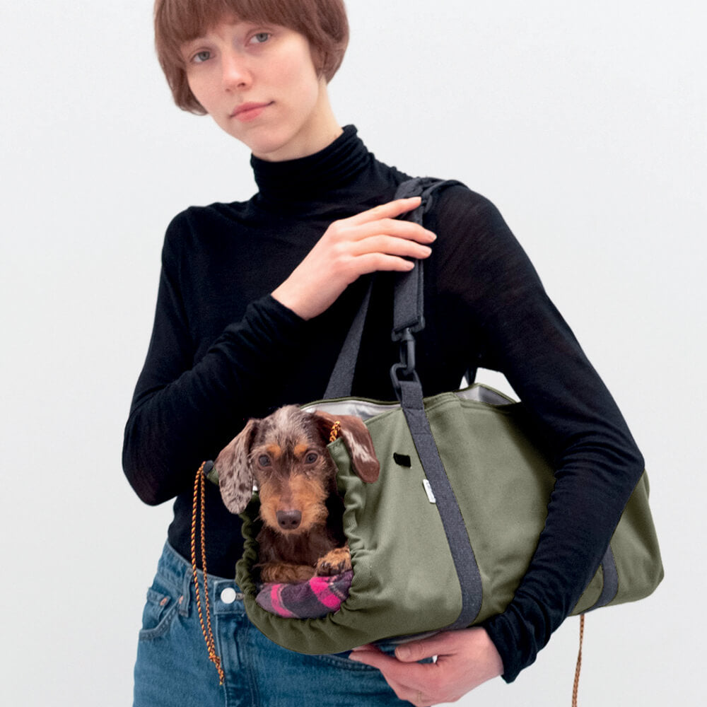 shopping bag carrying dachshund