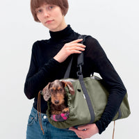 Thumbnail for shopping bag carrying dachshund