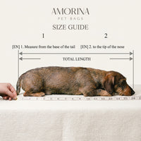 Thumbnail for size guide for dachshunds carriers