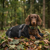Thumbnail for special dachshund dog carrier bag