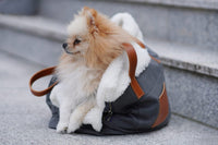 Thumbnail for Spitz Dog in Handbag